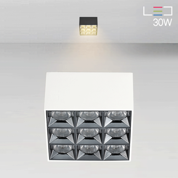 [LED 30W] 로쉐 9구 직부등 / 매입등 (타공시:55mm~120mm)