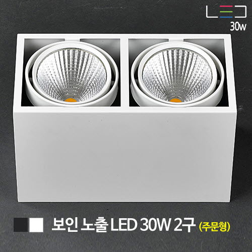 [LED 60W] 보인 노출 LED 2구 주문형 (흑색/백색)