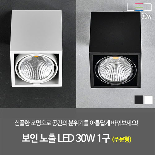 [LED 30W] 보인 노출 LED 1구 주문형 (흑색/백색)