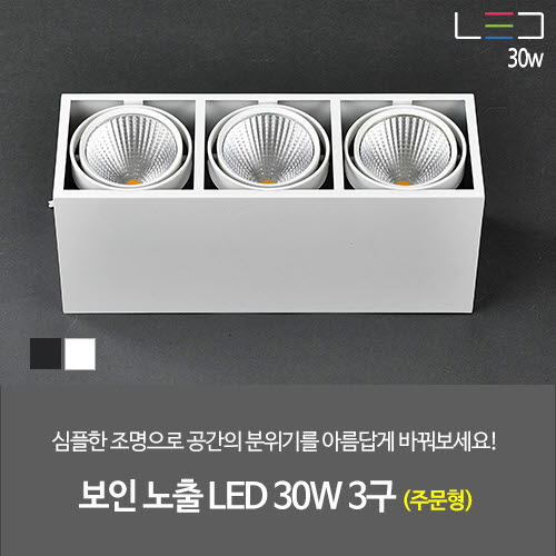 [LED 90W] 보인 노출 LED 3구 주문형 (흑색/백색)