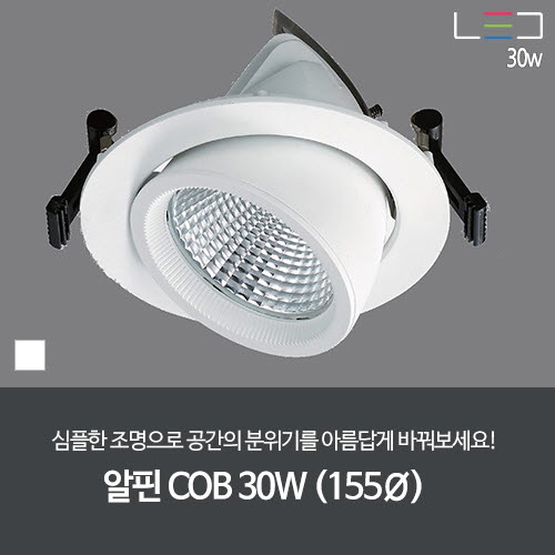 [LED 30W] 알핀 COB 1구 (백색) 타공 155mm