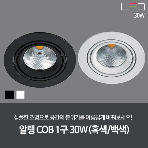 [LED 30W] 알랭 COB 1구 (흑색/백색) 타공: 125mm